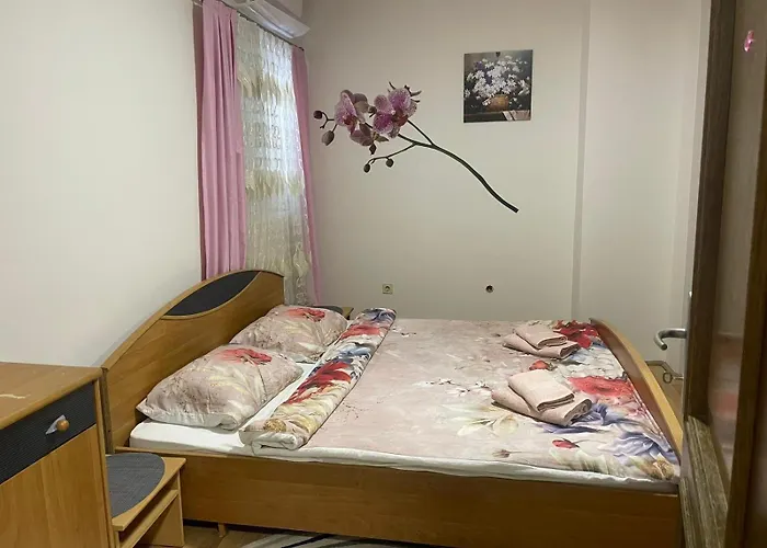 Apartment Piko